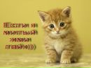 Назар Мотрій фотография #40 (источник - https://vk.com/id162554514)