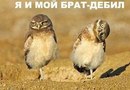 Євгенія Питель фотография #30 (источник - https://vk.com/id157165282)