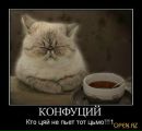 Вася Сінченко фотография #22 (источник - https://vk.com/id160922730)
