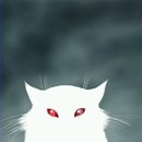 Іван Бортник фотография #1