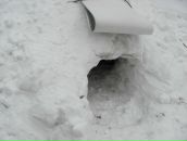 Сергей Воропаев фотография #17 (источник - https://vk.com/id4393349)