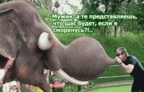 Сергій Заяц фотография #27 (источник - https://vk.com/id52500814)