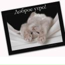 Андрій Черних фотография #22 (источник - https://vk.com/id65658695)