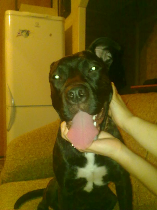 Серёга Линдт фотография #25