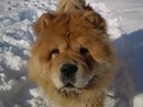 Максім Поліщук фотография #39 (источник - https://vk.com/id119500512)
