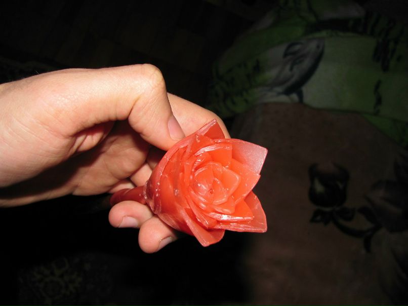 Дмитрий Николов фотография #16