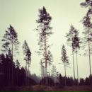 Віра Кікцьо фотография #14 (источник - https://vk.com/id14122980)