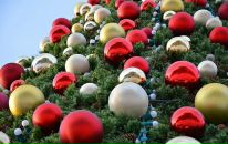 Фотография Афониной Екатерины