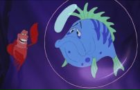 Фотография Шапарева Александра