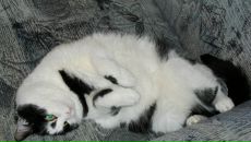 Фотография Мишиной Екатерины