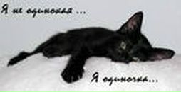 Фотография Волошина Павла