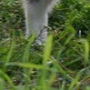 Наталя Кузів фотография #3 (источник - https://vk.com/id76628427)