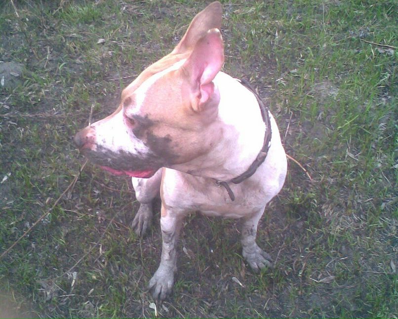 Дмитрий Асеев фотография #36