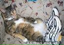 Міша Дукай фотография #40 (источник - https://vk.com/id133331099)