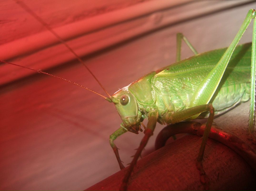 Дмитрий Милеев фотография #30