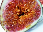 Фотография Есиной Оксаны