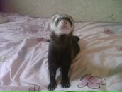 Фотография Мельниковой Марии