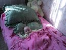 Діма Нечай фотография #16 (источник - https://vk.com/id50600031)