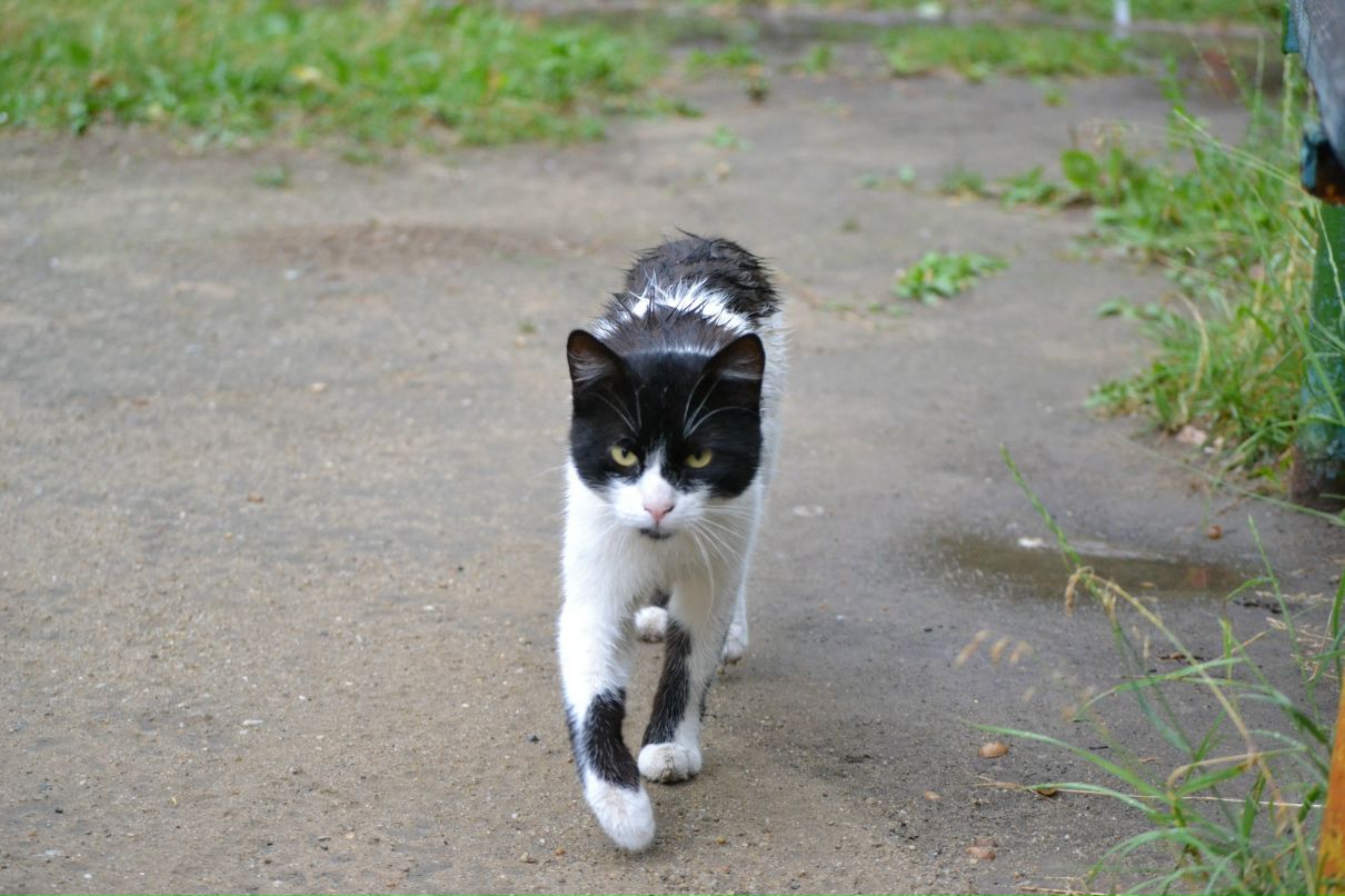 Константин Басалаев фотография #40