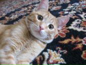 Сергей Рычков фотография #5 (источник - https://vk.com/id272859)