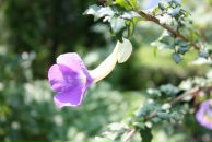 Тетяна Олексієнко фотография #25 (источник - https://vk.com/id16552331)