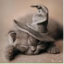 Фотография Sophia Софии