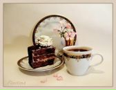 Фотография Габовой Алены