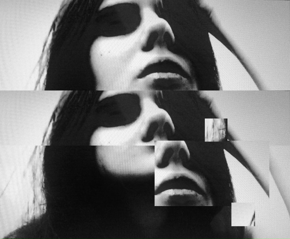 The Booka фотография #24