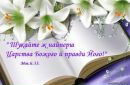 Наталі Метелик фотография #10 (источник - https://vk.com/id177935930)