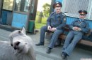 Сашко Поліщук фотография #26 (источник - https://vk.com/id21229730)