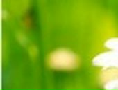 Яна Excale фотография #28 (источник - https://vk.com/id727315)