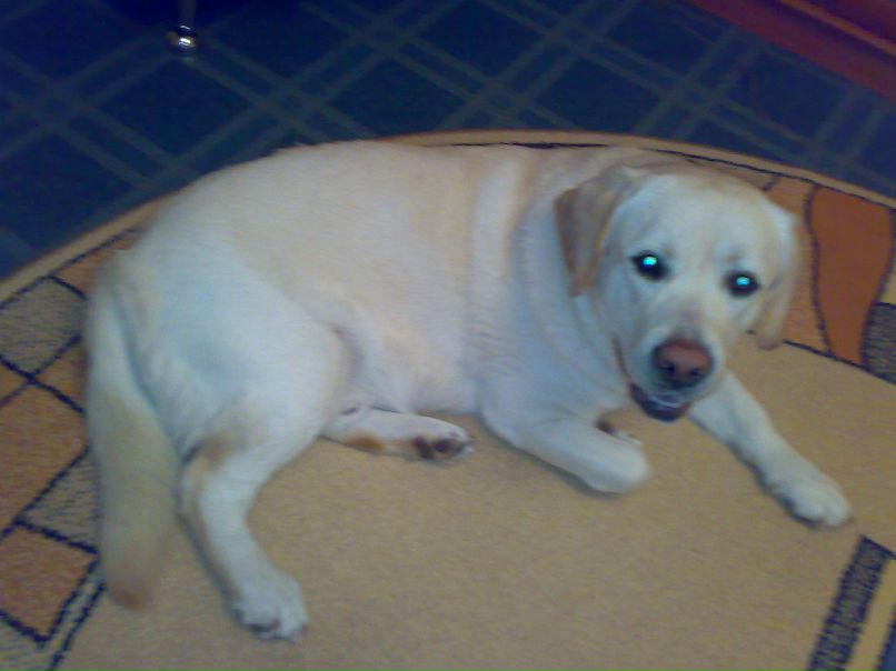 Роман Коваленко фотография #25