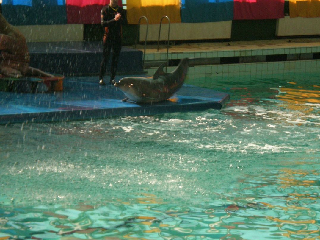 Ирина Мальцева фотография #44