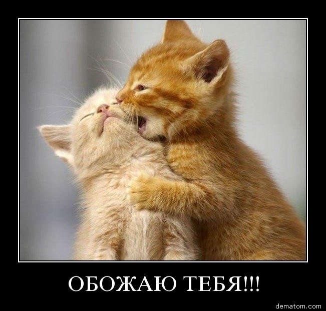 Вл@дисл@в Головкин фотография #2