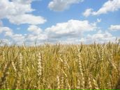 Віктор Тимошук фотография #2 (источник - https://vk.com/id49583367)