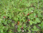 Фотография Мариничевой Светланы