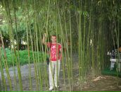 Фотография Янченко Дмитрия