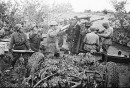 Дима Стасюк фотография #25 (источник - https://vk.com/id6515993)