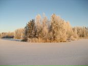 Фотография Кореньковой Елены