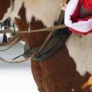 Сергій Даценко фотография #5 (источник - https://vk.com/id155483761)