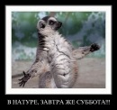 Фотография Шармановой Ирины