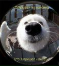 Фотография Ни Яра