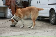 Софья Фе фотография #37 (источник - https://vk.com/id1765062)