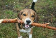 Фотография Макаренко Маришки