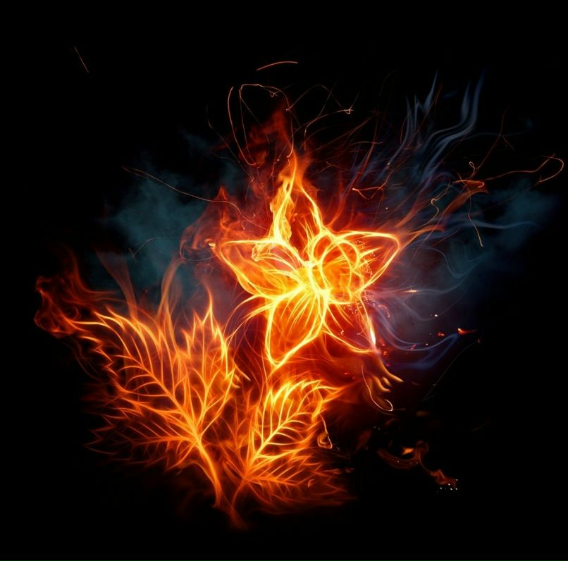 Александр Харитонов фотография #8