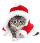 Фотография Вихровой Вероники