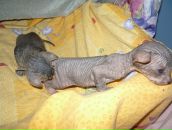 Фотография Дементьевой Екатерины