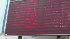 Tami Пелег фотография #11 (источник - https://vk.com/id2744530)