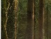 Діма Меч фотография #28 (источник - https://vk.com/id137897818)