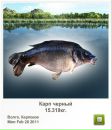 Ігор Микитин фотография #22 (источник - https://vk.com/id111819183)